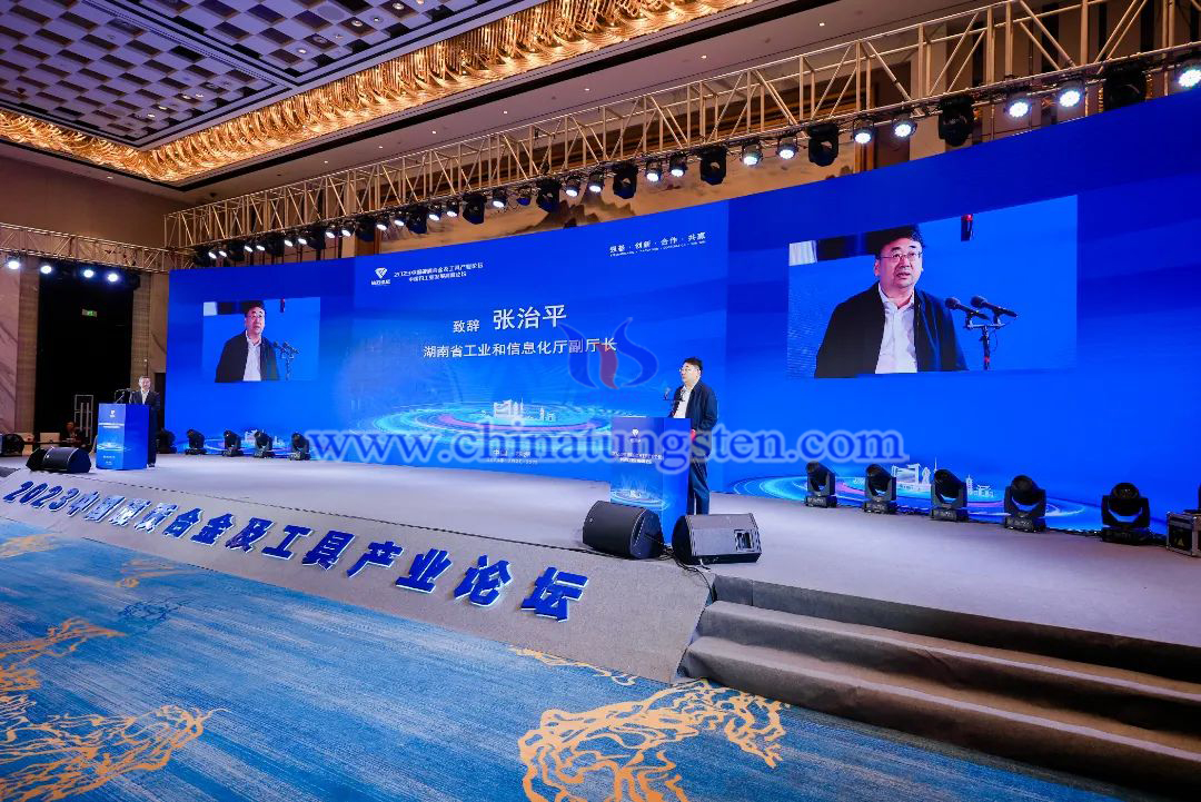 湖南省工业和信息化厅副厅长张治平致辞